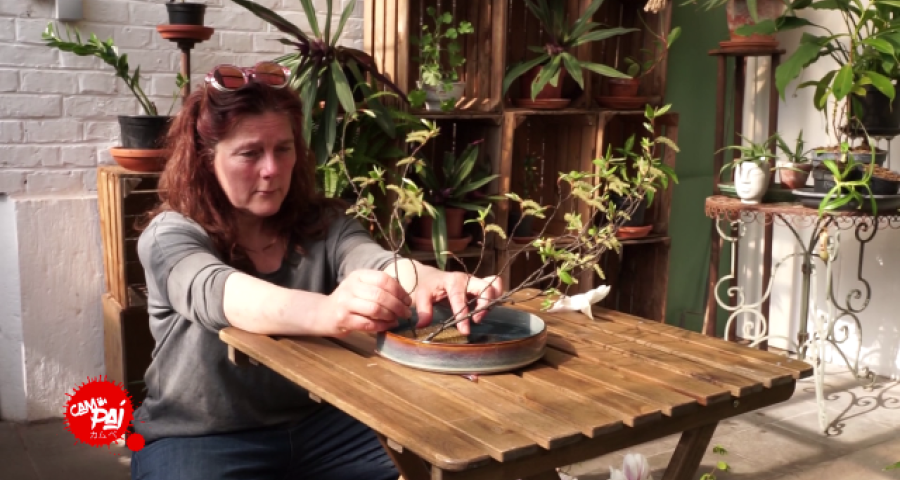 Cam Pai: L'Ikebana...C'est quoi ?