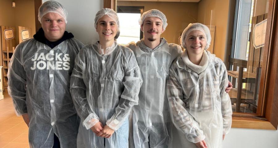 Les Testeurs chez Blanche: L'intégrale