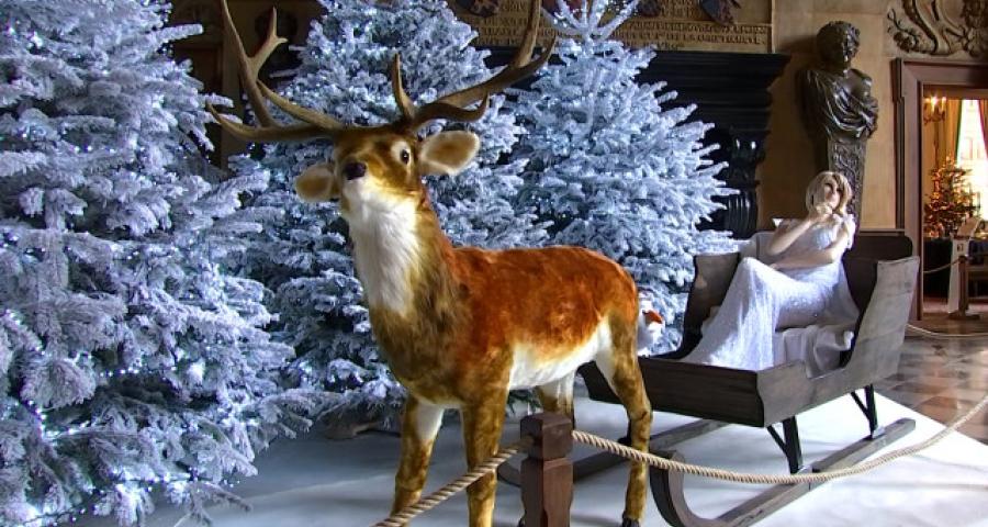 Noël au Château de Modave: contes et légendes à l'honneur