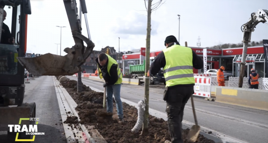 Tram En Commun S5#26 : les premières plantations sur la ligne du tram
