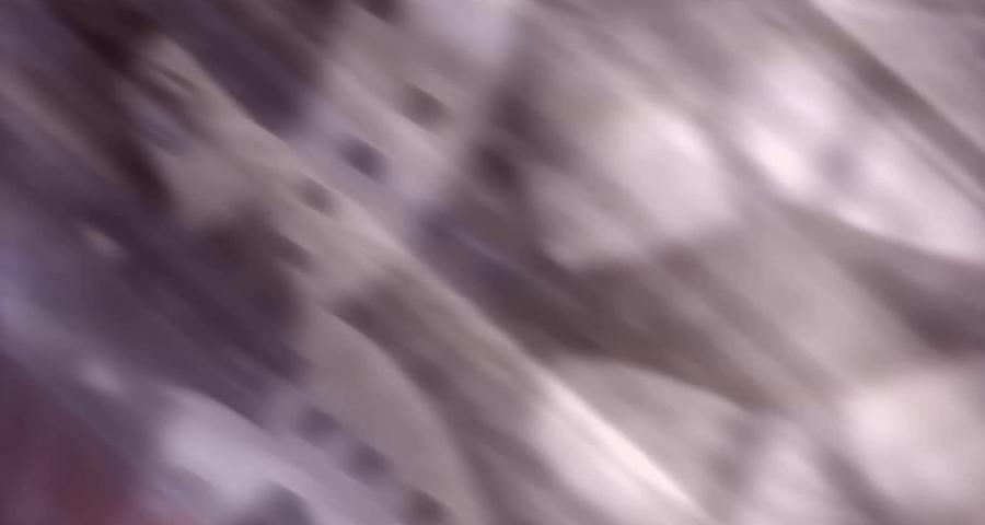 Highway 2L - 19 janvier 2024