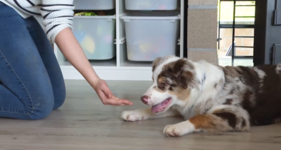 Trucs de Wouf::  La malpropreté par frustration.