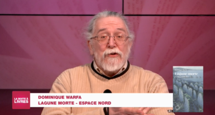 Boite à livres: Dominique Warfa, Lagune morte (Espace Nord)