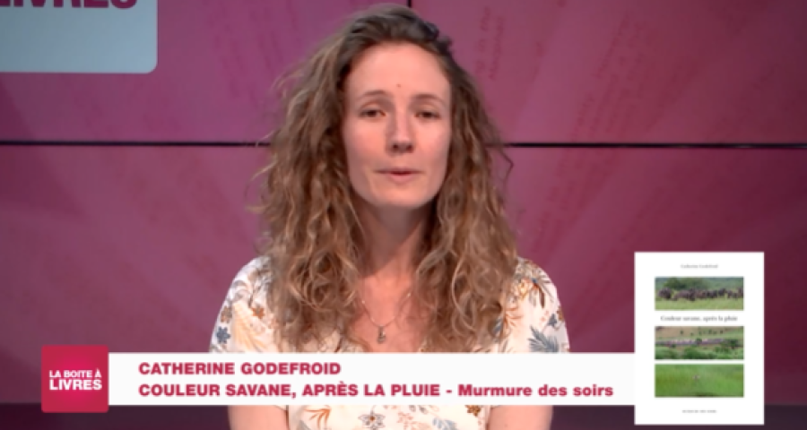 Boite à livres: Catherine Godefroid, Couleur savane, après la pluie (Murmure des soirs)