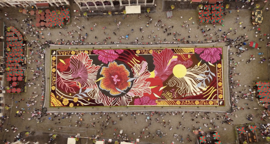 500.000 fleurs sur une des plus belles places du monde !