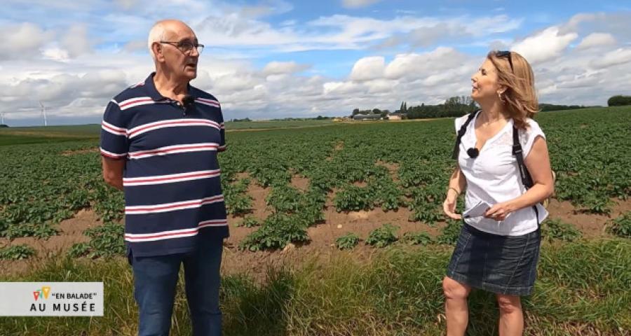En Balade : la balade des champs ouverts à Merdorp 