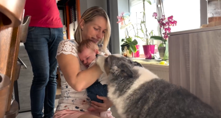 Trucs de wouf : L'accueil de bébé