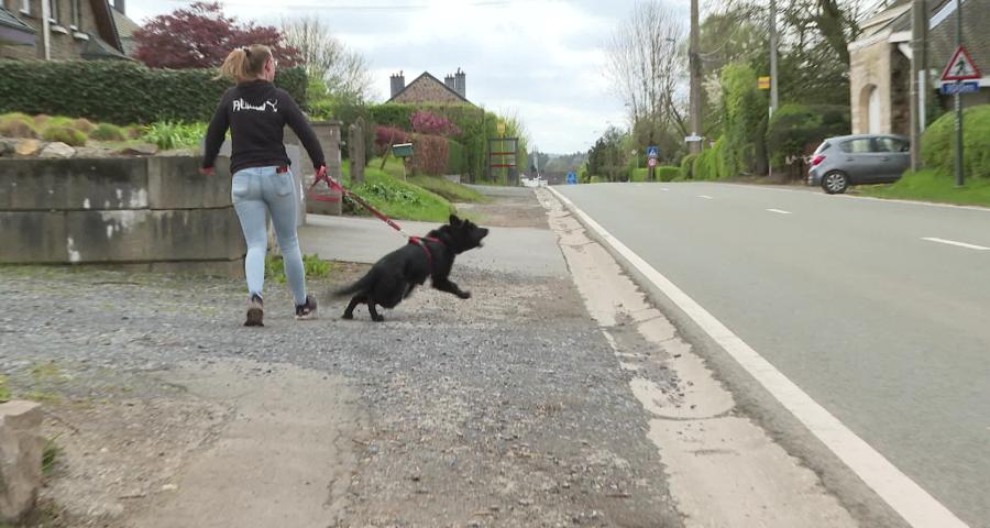 Trucs de Wouf: la peur de l’environnement