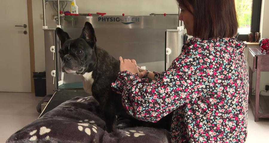 Trucs de wouf: l'ostéopathie