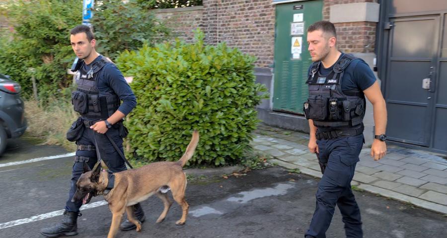 Deux chiens pour renforcer les rangs de la police de Huy