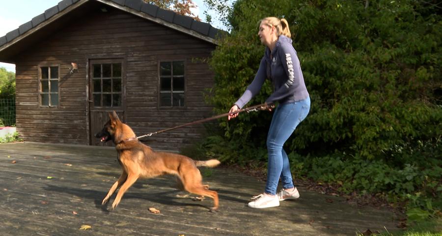 Trucs de Wouf : la réactivité dans le jardin