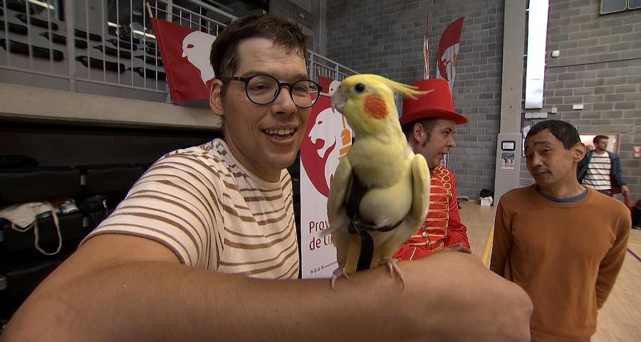 Journée handisport et ludique au Province Ballons Arena