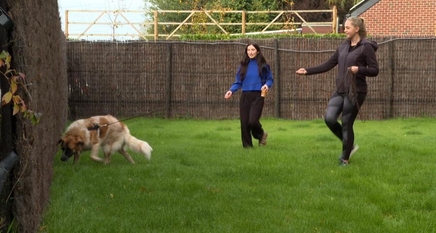 Trucs de wouf : vaincre le stress