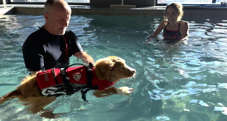 Trucs de wouf : les bienfaits de la nage