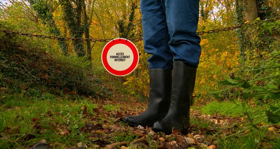 Bassenge : une colonie de chauves-souris est-elle menacée ?