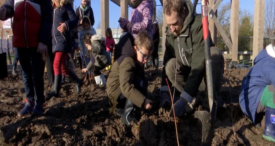 300 arbres pour une mini-forêt à Xhendremael