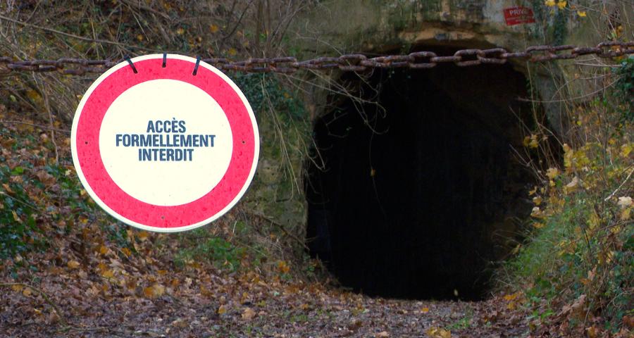 Bassenge : le propriétaire de la grotte du TrouLouLou assure que les chauves-souris ne sont pas menacées