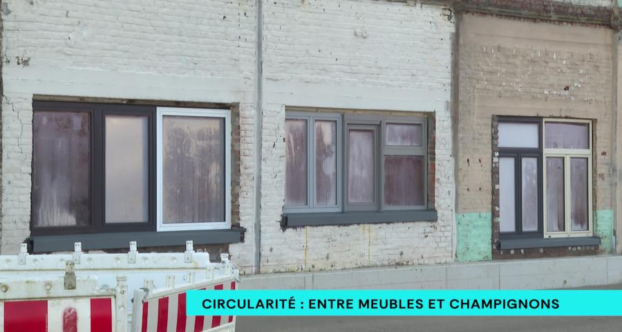 Une façade, des meubles et des champignons. Mutation circulaire de l'ex-site des ACEC à Herstal
