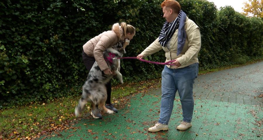 Trucs de wouf : gestion des émotions positives