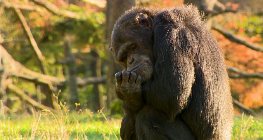 Le Monde Sauvage vous invite à apprendre en bougeant !