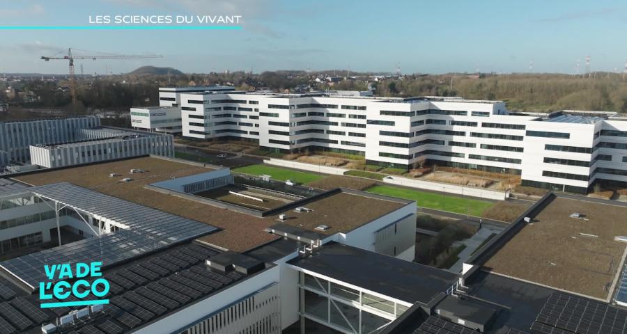 Y a de l'Eco - Le Legia Park