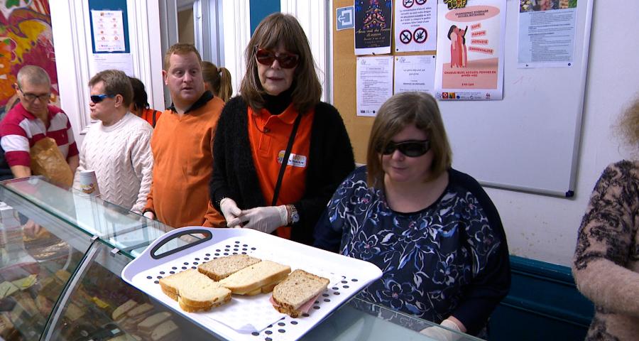 Quand la Lumière rencontre l’Accueil Botanique