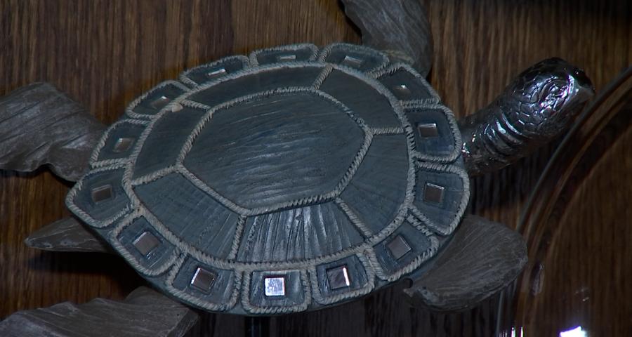 Berloz: la collection de tortues de Béatrice Moureau