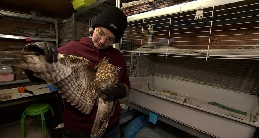 Soulagement pour les CREAVES de Wallonie