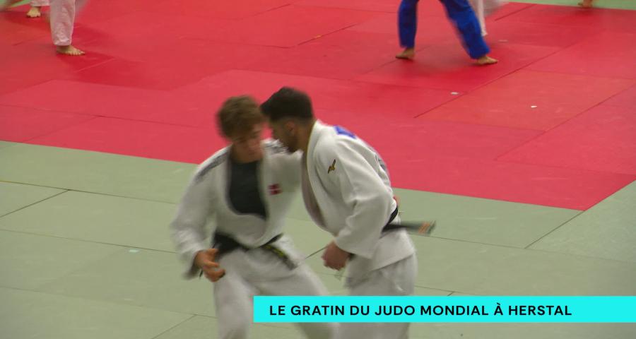 L'élite mondiale du judo à Herstal