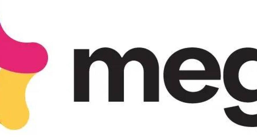 Une société énergétique suisse prend une participation importante chez le fournisseur d’énergie low cost Mega