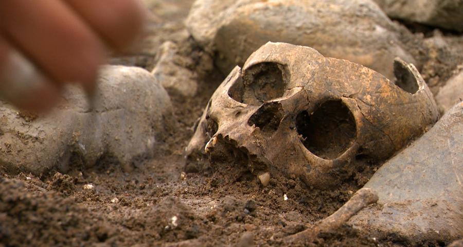 Herstal : des tombes profanées, des ossements volés !