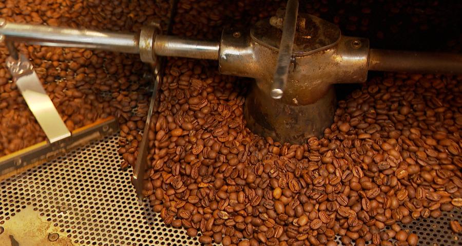 Du café 100% liégeois bientôt en dégustation