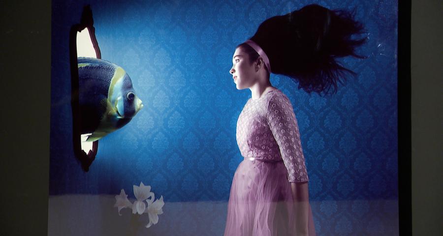 ArtHouse: Immersion dans la photographie aquatique