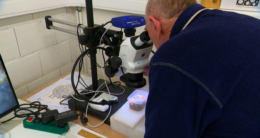 Appel aux archéologues amateurs