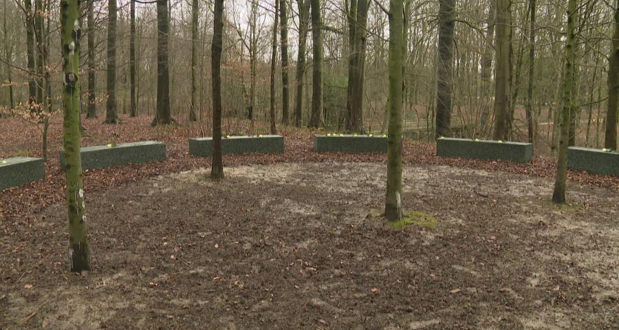 Imagésanté : Qu'apprenons-nous des épidémies ?