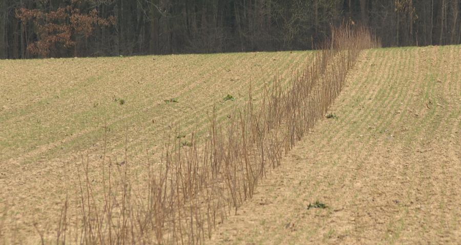 Eau potable : mesures agricoles pour protéger les captages