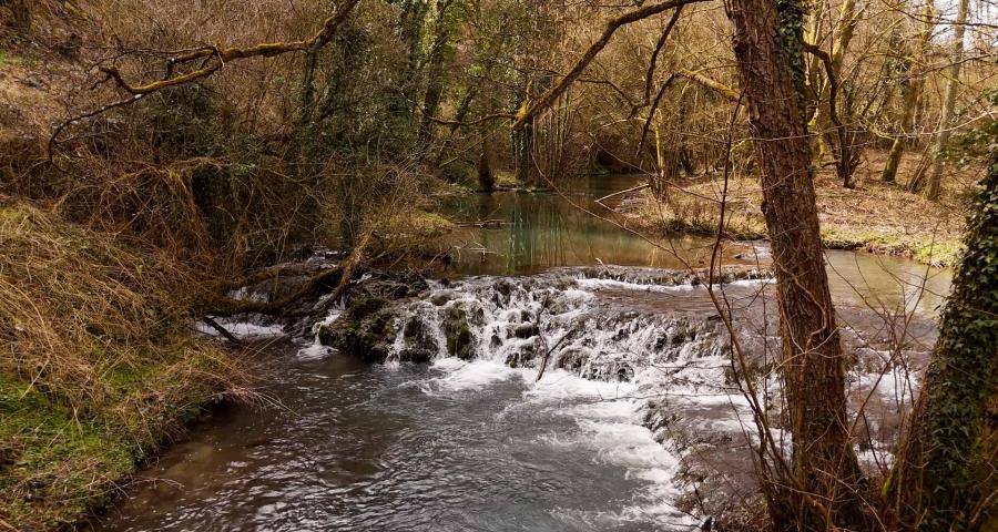 Journée mondiale de l'eau : découverte des mystères du Triffoy
