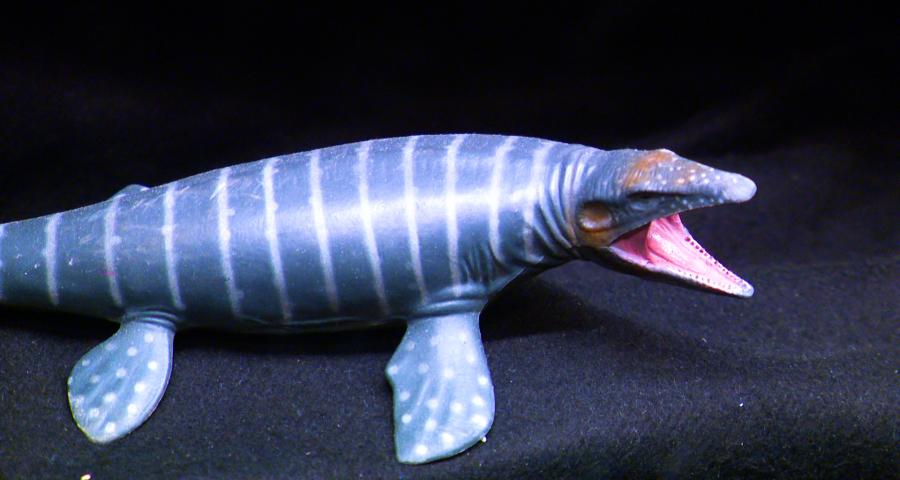 "Les dents de la Meuse" devant l'aquarium-museum