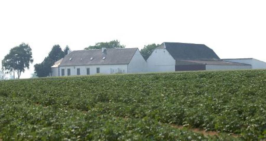 La superficie agricole bio recule légèrement, mais le consommateur wallon reste fidèle