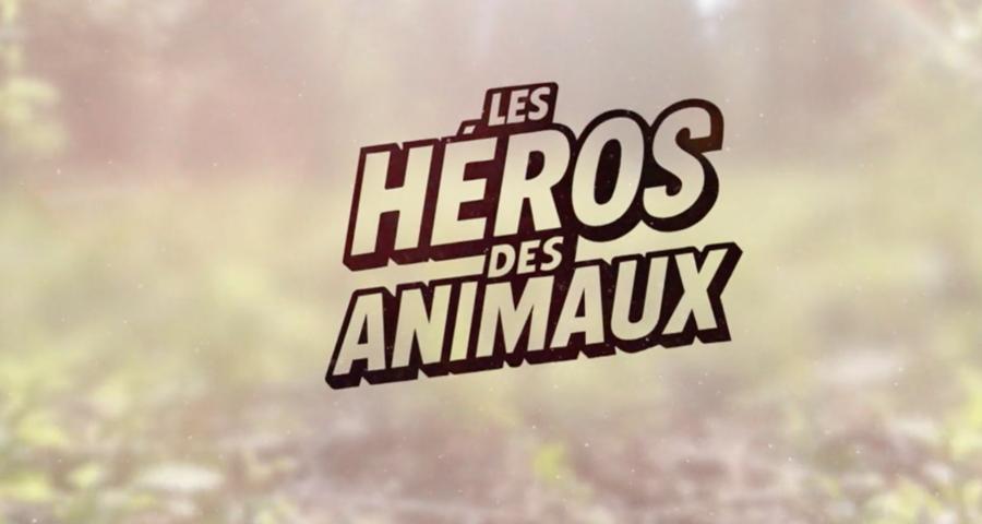 Les héros des animaux