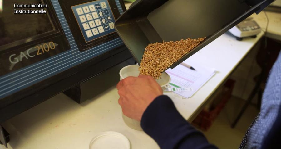 Les secrets de la culture des sols en Province de Liège