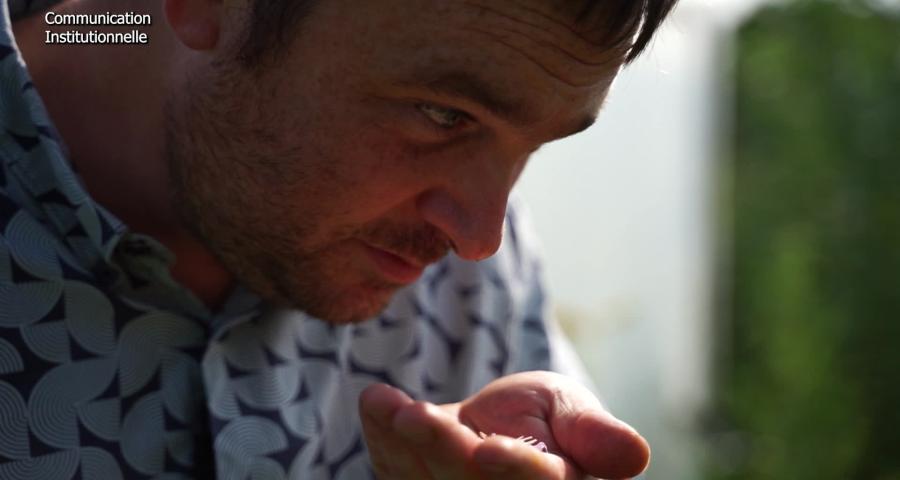 L'art de la table : De la terre à l'assiette chez Magneùs d'Pèlotes