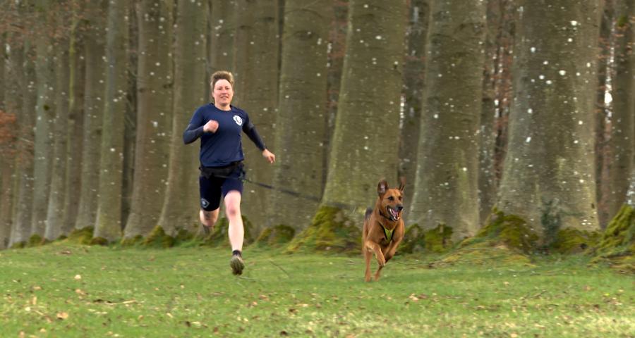 Canicross : Quand le sport renforce le lien homme-chien