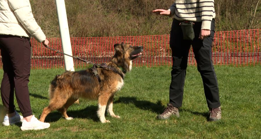 Comment gérer la frustration