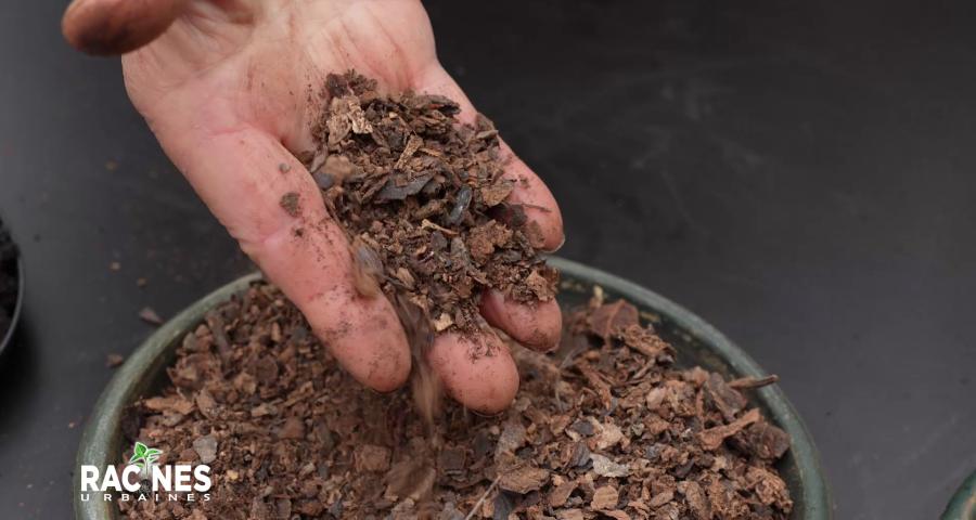 Les secrets des fertilisants