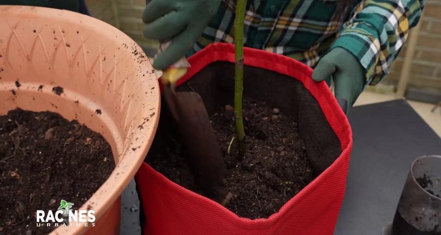 Les sacs de plantation, solution innovante pour l'éco jardinage urbain