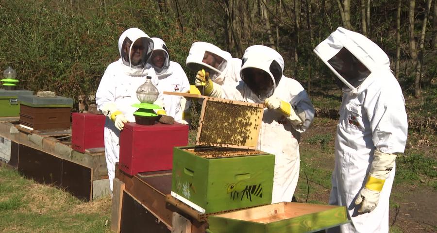 Le Bon Moment by Be Planet : découverte de Happy'Culture