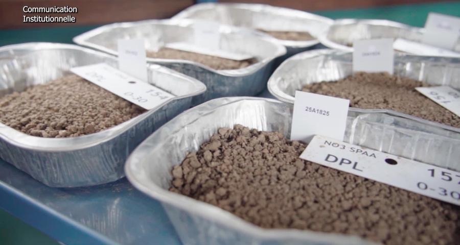 L'essor des analyses de sol et les légumes bio