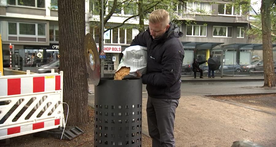 Graines contraceptives pour pigeons