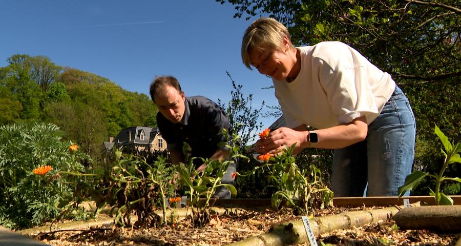 Une nouvelle étoile verte au Guide Michelin
